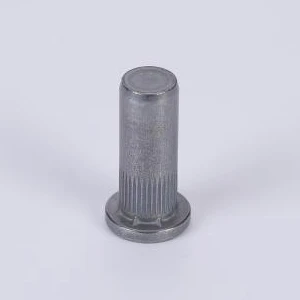 Trikarlı vücut sızdırmaz fıstığı